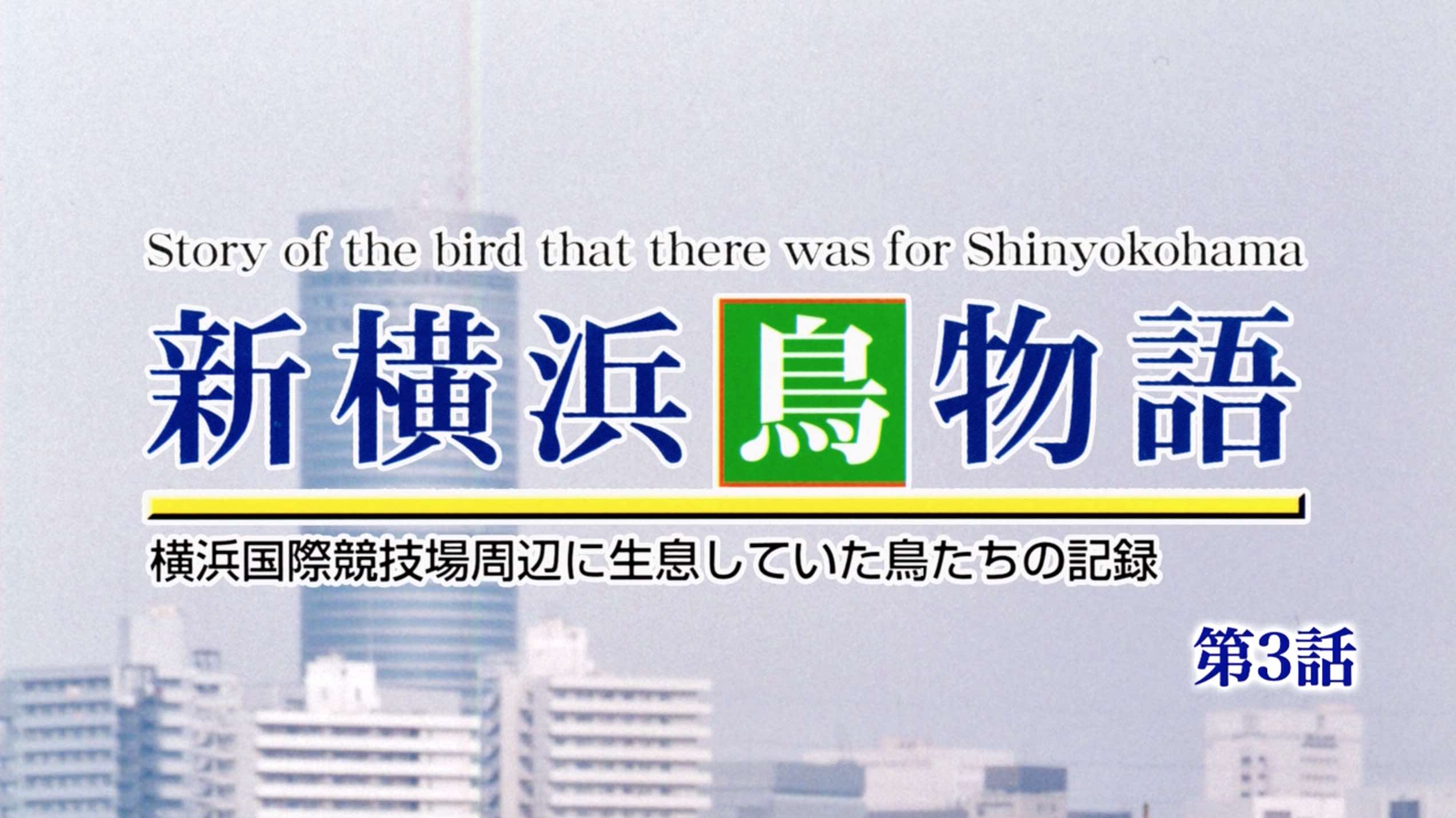 新横浜鳥物語第3話