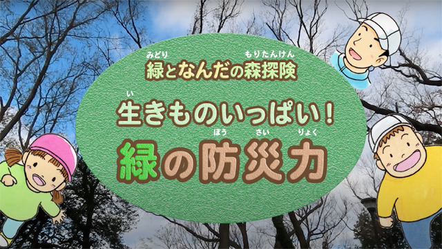 緑となんだの森探険-生きものいっぱい緑の防災力