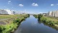鶴見川