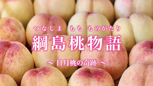 綱島桃物語WEB版